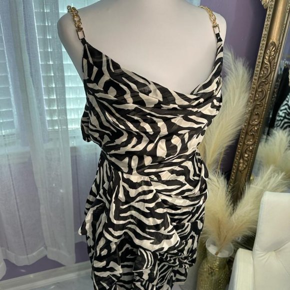 Zebra Dress - Picture 3 of 6